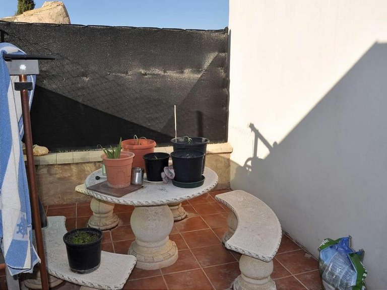 Town House for Sale in Pinoso, Alicante 23