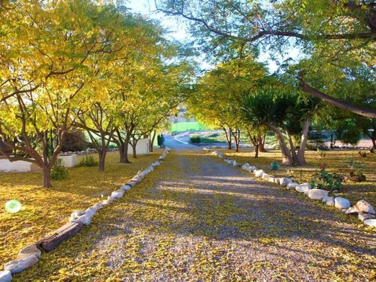 Villa for Sale in Cuevas Del Almanzora, Almeria 36