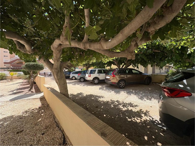 Villa for Sale in Torrevieja, Alicante 14