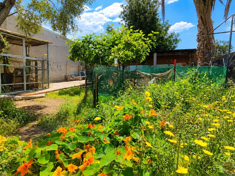 Town House for Sale in El Campello, Alicante 35
