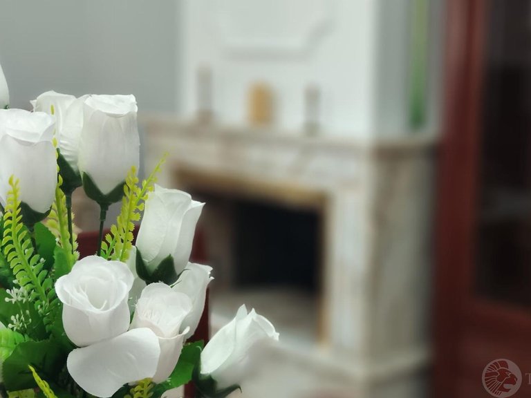 Villa for Rent in El Campello, Alicante 38