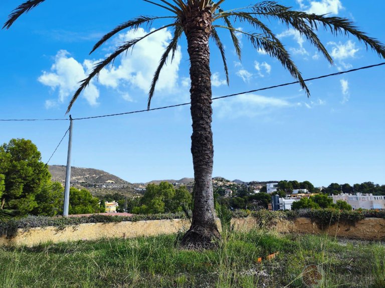 Villa for Sale in El Campello, Alicante 10