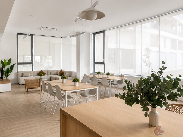 Apartment for Rent in Alicante, Alicante 15