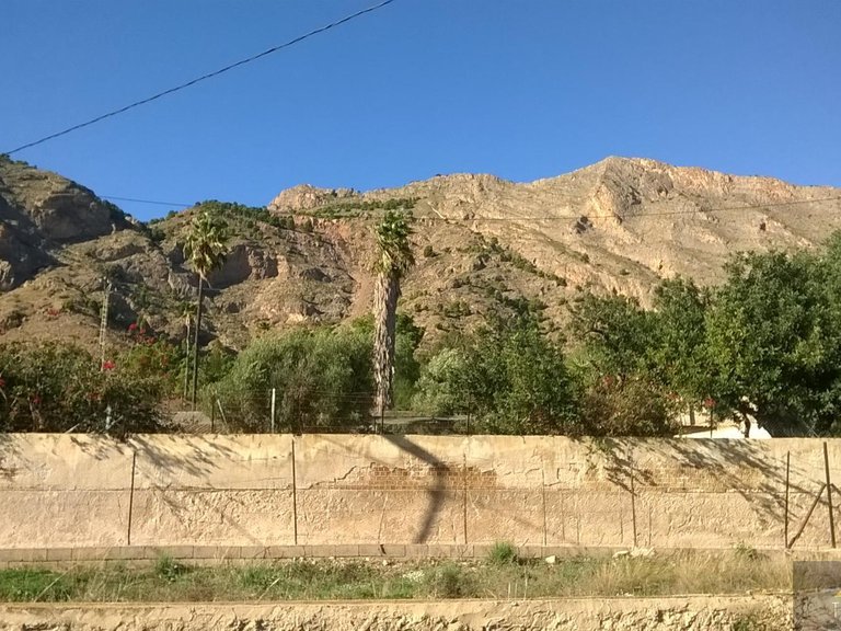 Country House for Sale in Orihuela, Alicante 8