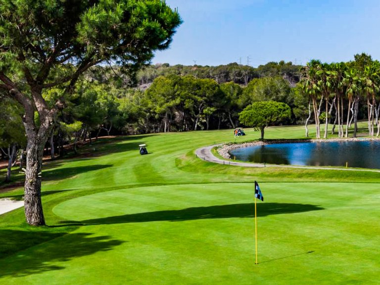 Apartment for Sale in Cabo Roig, Alicante 31