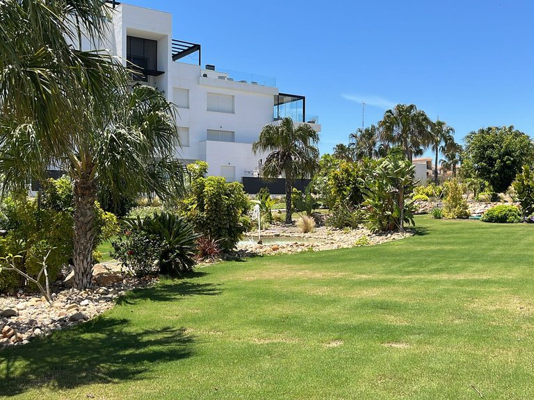 Apartment for Sale in Punta Prima, Alicante 16
