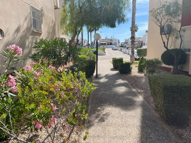 Apartment for Sale in Playa Flamenca, Alicante 7