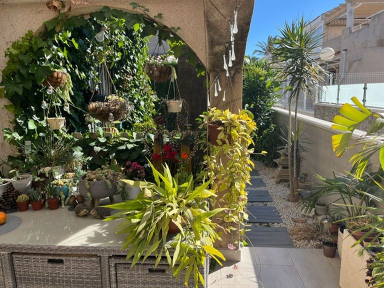 Town House for Sale in Playa Flamenca, Alicante 14
