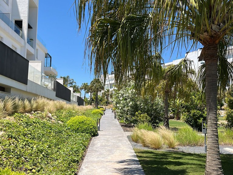 Apartment for Sale in Punta Prima, Alicante 31