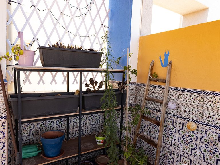 Town House for Sale in Torrevieja, Alicante 3