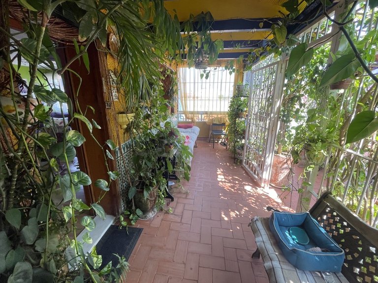 Town House for Sale in Rojales, Alicante, 34