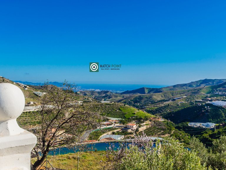 SPECTACULAR ESTATE 6