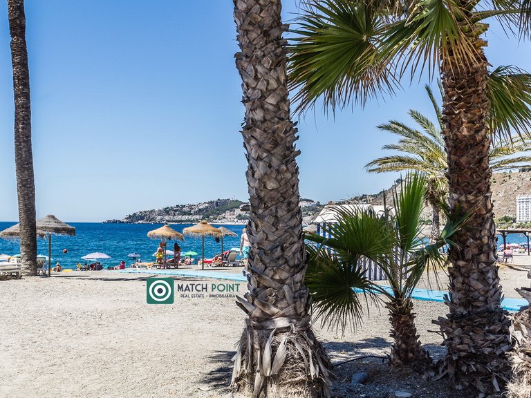 SEAFRONT APARTMENT IN A RESIDENTIAL AREA 36