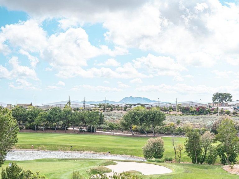 Apartment for Sale in Costa Blanca Pilar De La Horadada, Alicante 42