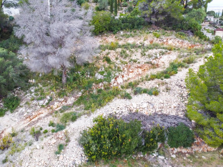 Villa for Sale in Pedreguer, Alicante 8