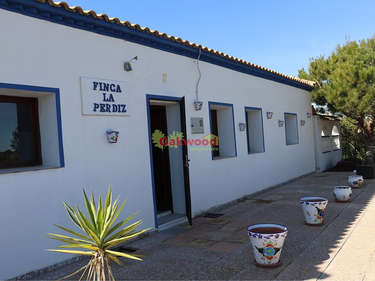 Villa for Sale in Pinar De Campoverde, Alicante 60