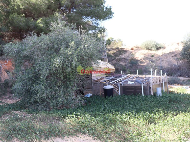 Villa for Sale in Pinar De Campoverde, Alicante 66