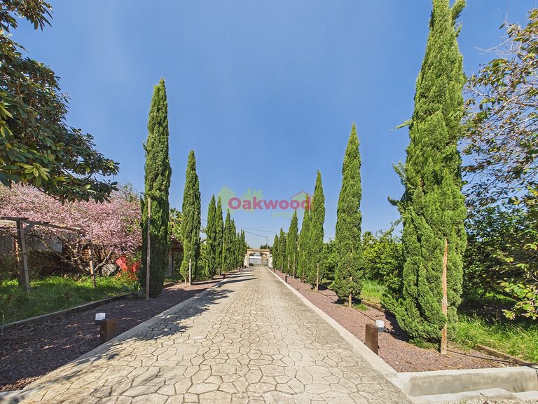 Villa for Sale in Orihuela Costa, Alicante 4