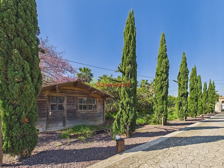 Villa for Sale in Orihuela Costa, Alicante 49