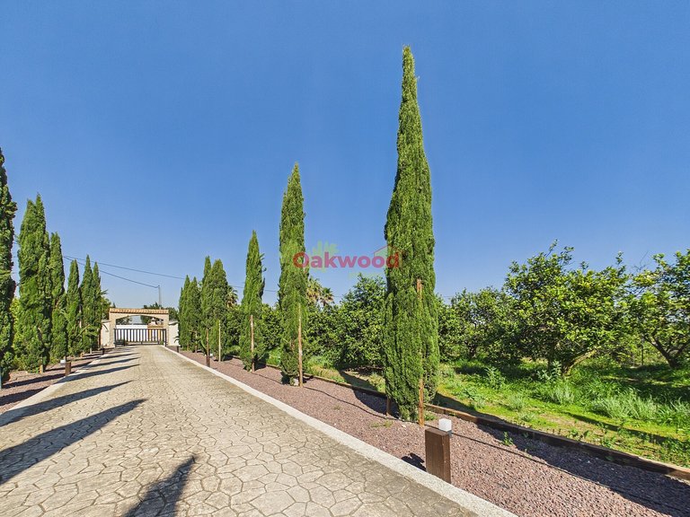 Villa for Sale in Orihuela Costa, Alicante 47