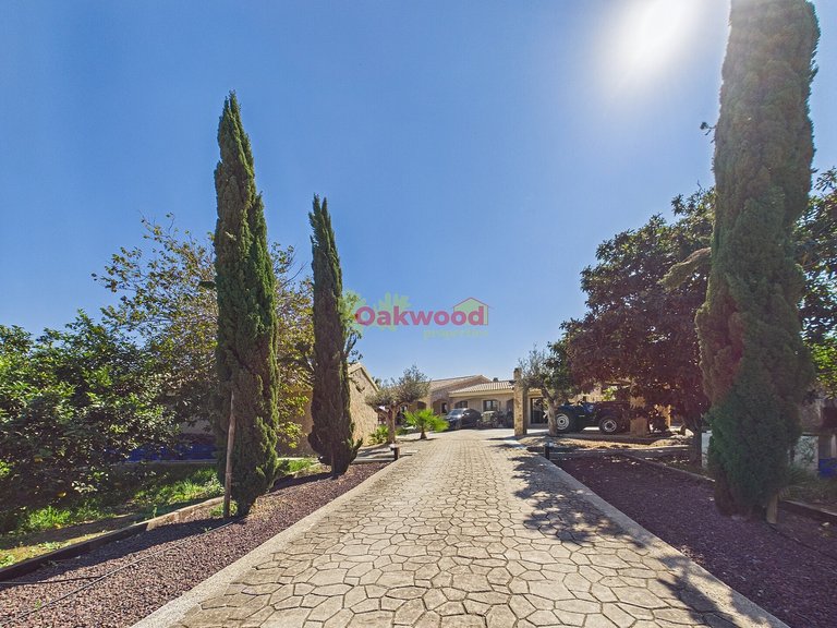 Villa for Sale in Orihuela Costa, Alicante 48