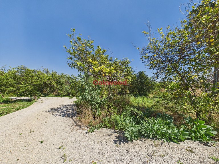 Villa for Sale in Orihuela Costa, Alicante 66