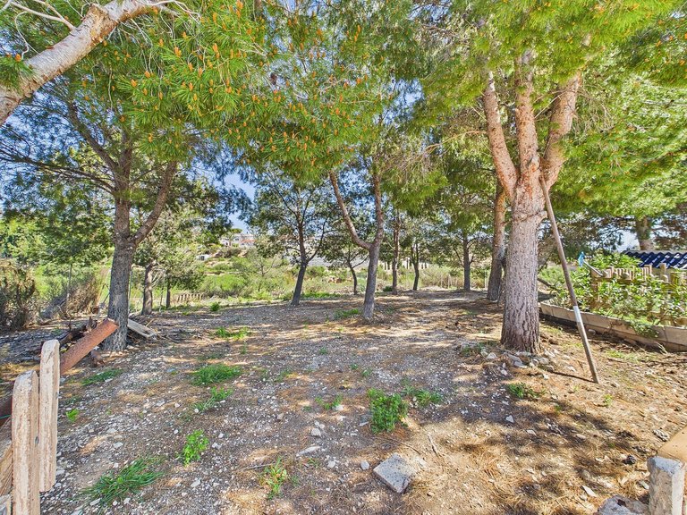 Villa for Sale in Albatera, Alicante 35