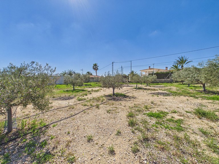 Villa for Sale in Albatera, Alicante 33