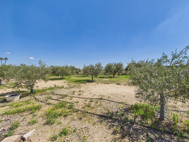 Villa for Sale in Albatera, Alicante 34