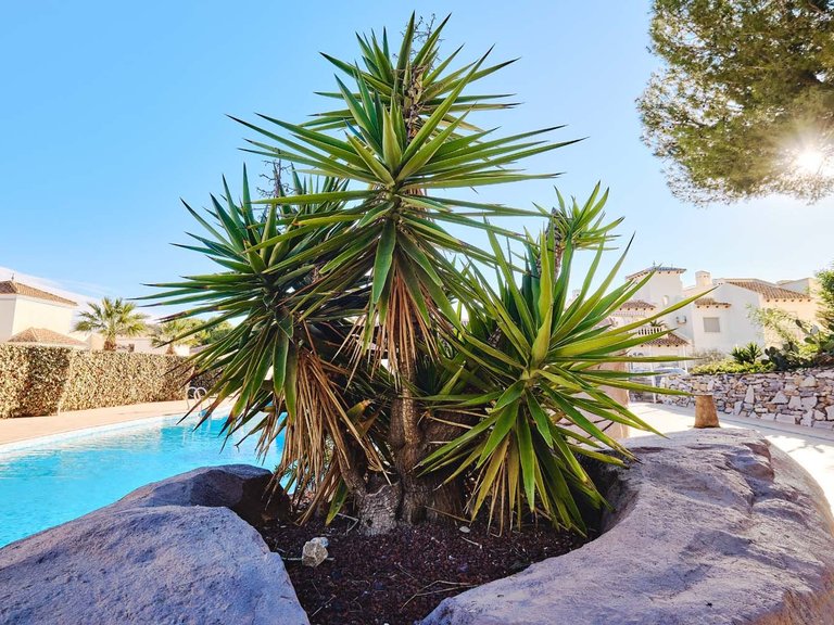 Villa for Sale in Las Ramblas, Alicante 10