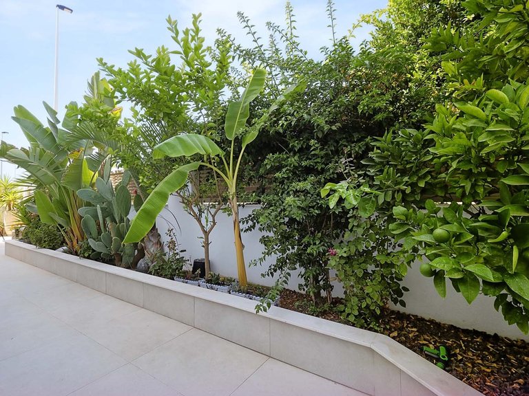 Apartment for Sale in Lo Pagan, Murcia 47