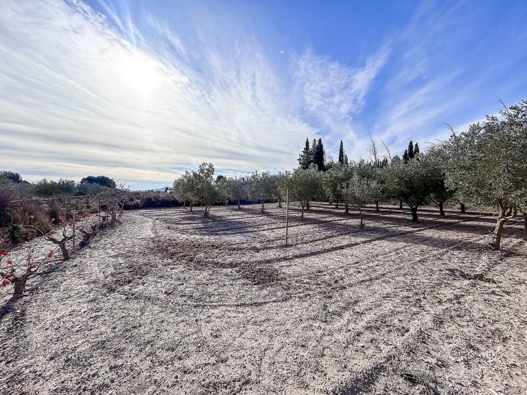 Villa for Sale in Sax, Alicante 27