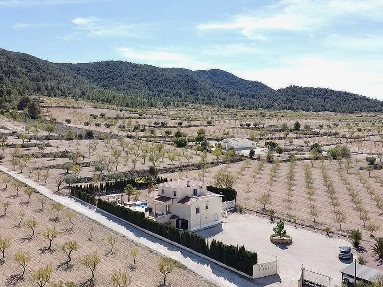Villa for Sale in La Zarza, Murcia 3