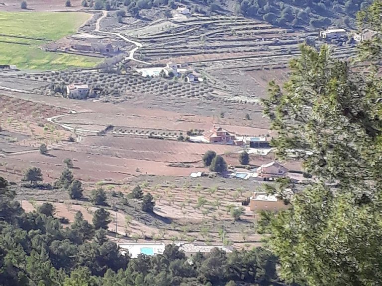 Country House for Sale in Pinoso, Alicante 12