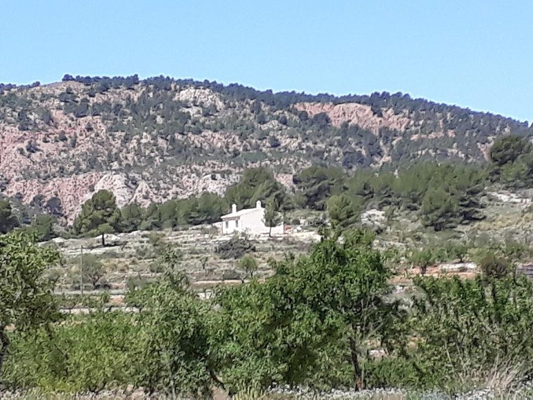 Country House for Sale in Pinoso, Alicante 14