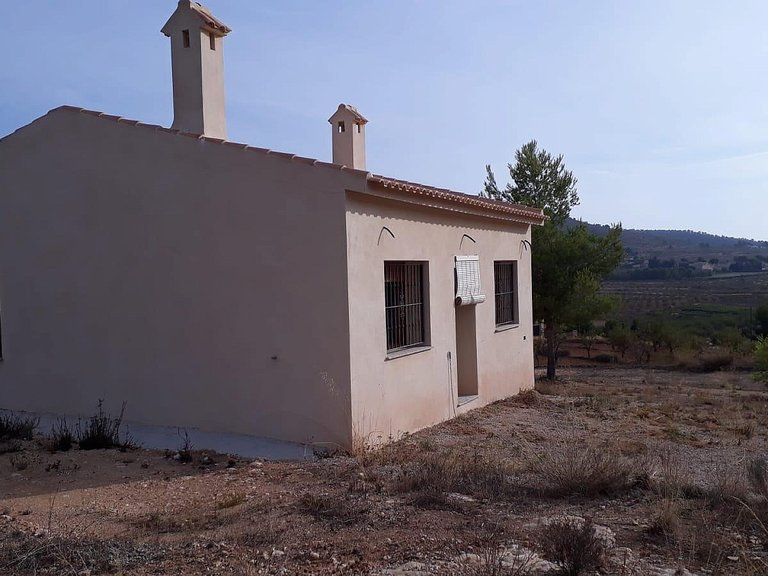Country House for Sale in Pinoso, Alicante 5