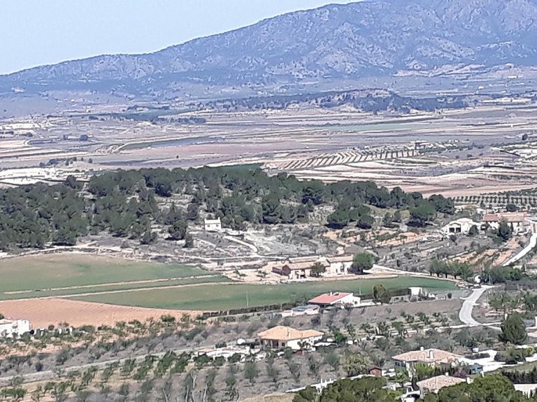Country House for Sale in Pinoso, Alicante 11
