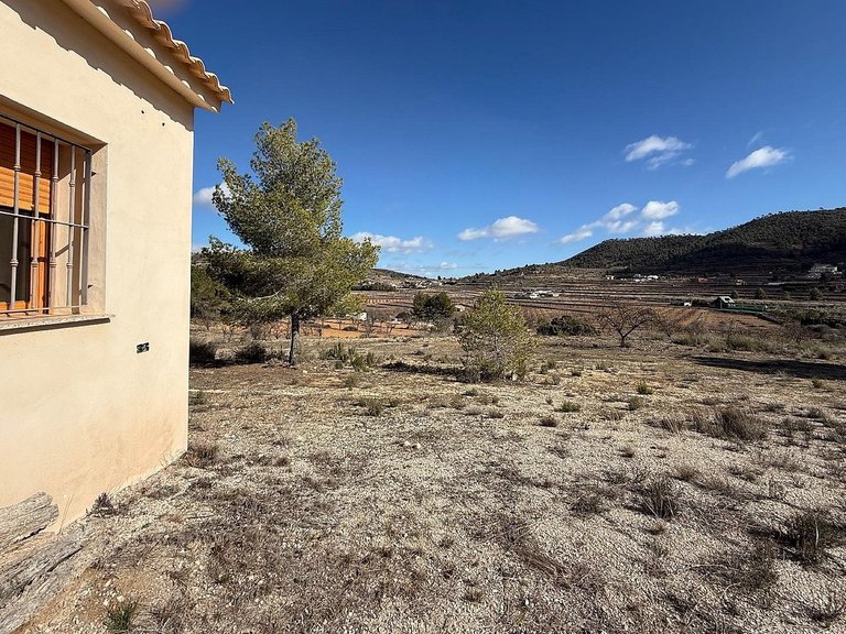 Country House for Sale in Pinoso, Alicante 9