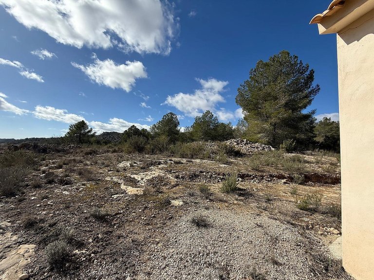 Country House for Sale in Pinoso, Alicante 15