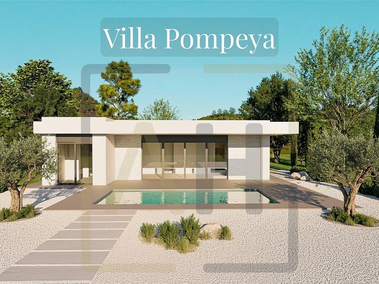 Villa for Sale in Pinoso, Alicante 1