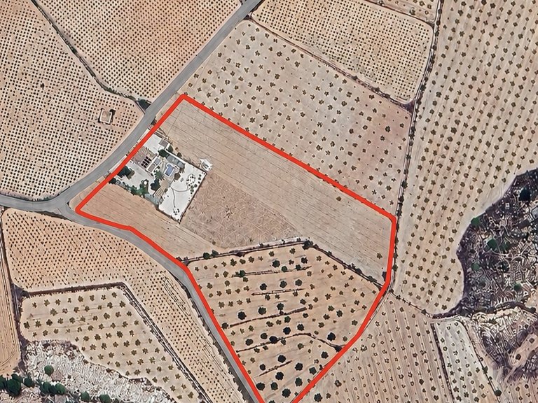 Villa for Sale in El Cantón, Murcia 3