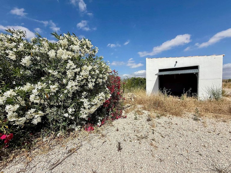 Villa for Sale in Cañada Del Trigo, Murcia 13