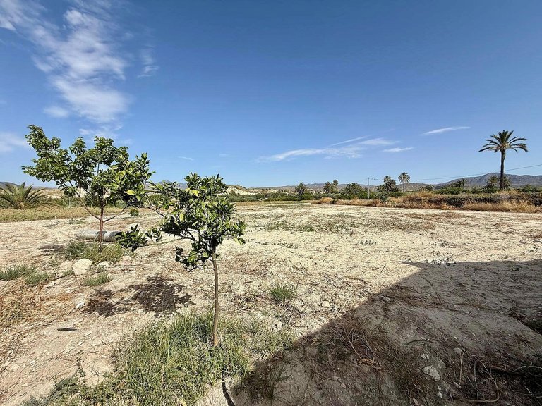 Villa for Sale in Abanilla, Murcia 6