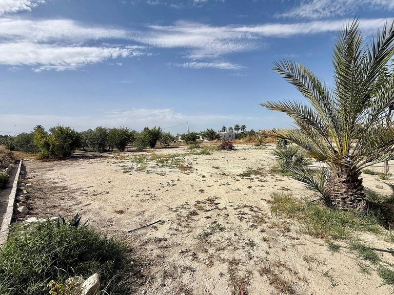 Villa for Sale in Abanilla, Murcia 7