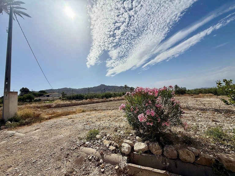 Villa for Sale in Abanilla, Murcia 5