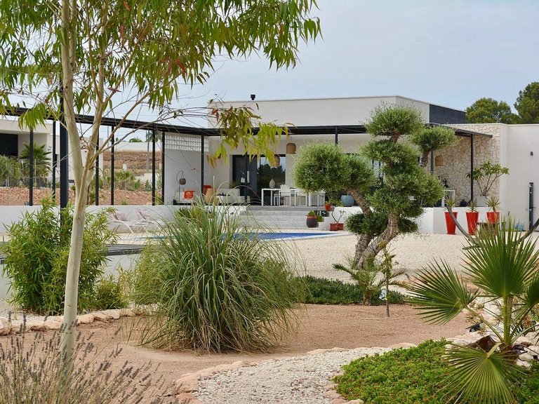 Villa for Sale in Pinoso, Alicante 5