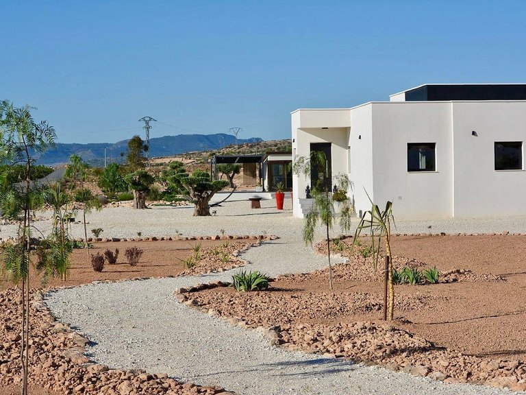 Villa for Sale in Pinoso, Alicante 3