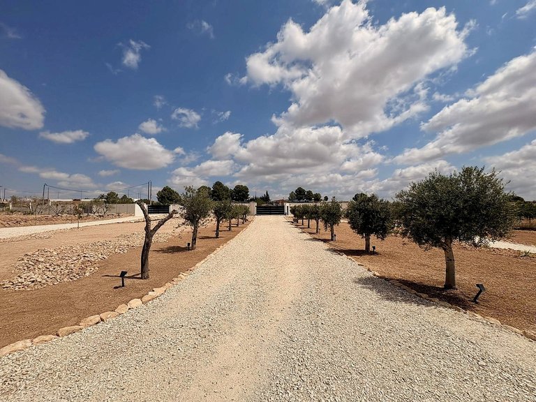 Villa for Sale in Pinoso, Alicante 4