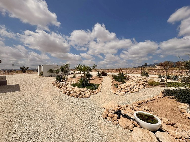 Villa for Sale in Pinoso, Alicante 5