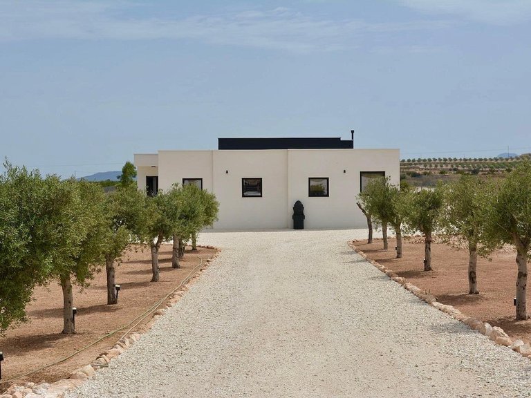 Villa for Sale in Pinoso, Alicante 2